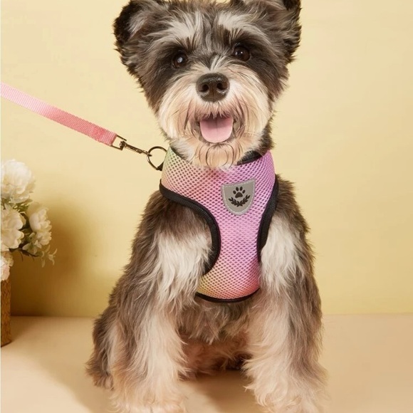 Ombré breathable harness with leash - Picture 1 of 4